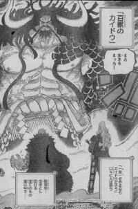 ワンピース四皇 百獣のカイドウが登場しました が このカイドウの Yahoo 知恵袋