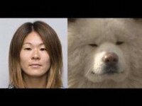 なでしこの澤穂希さんについて幾つかお聞きしたいのですが 澤さんとブサ犬のわ Yahoo 知恵袋