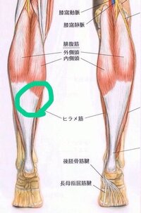 先週位前 急いでいたので結構な早歩きをしたのですが 運動不足だっ Yahoo 知恵袋