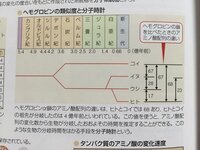 分子時計の計算の仕方がわかりません この写真の読み取り方を どなたか教えて Yahoo 知恵袋