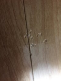 アパートのフローリングの傷についてはじめましてすぐというわけではありませんが 引 教えて 住まいの先生 Yahoo 不動産