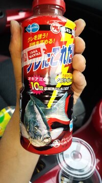 海水のカレイのえさについて 以前 質問させてもらって僕が買ってきたカレイはト Yahoo 知恵袋