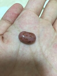 百味ビーンズについて質問です これは何味ですか ソーセージ Yahoo 知恵袋