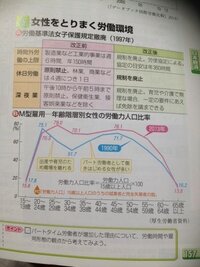 小論文についてです グラフがあって 問題がグラフから読み取れ Yahoo 知恵袋