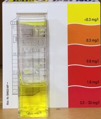 水槽のことなんですけど亜硝酸を下げるにはどうすればいいですか Yahoo 知恵袋