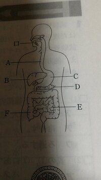 中二理科です 1 消化液を出している器官を図のa Fから二つずつ選び 記 Yahoo 知恵袋