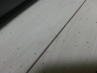 朝仕事に行き 帰ってきたら 布団の周りの一部分と 布団の上が 黒い粒が大量にあり 教えて 住まいの先生 Yahoo 不動産