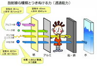 花などを入れた花瓶の水は毎日変えたほうが良いんですよね 水道水な Yahoo 知恵袋