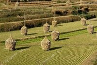 はんとう棒 の はんとう ってどういう意味なのでしょう はんとう棒 Yahoo 知恵袋