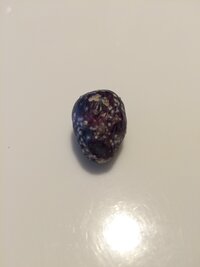 自宅のオリーブの実に へんなぶつぶつができてしまったます 写真の Yahoo 知恵袋