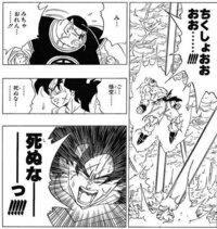 ドラゴンボールのナメック星が爆発する瞬間の画像 漫画の が欲しい Yahoo 知恵袋