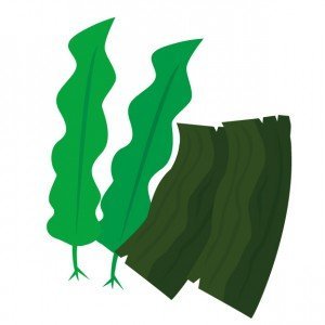 ヒジキなどの昆布類を食べると黒髪に成ると聞いた事があるが本当でし Yahoo 知恵袋