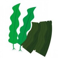 ヒジキなどの昆布類を食べると黒髪に成ると聞いた事があるが本当でし Yahoo 知恵袋