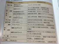 生物基礎の人の主なホルモンの覚え方 これを明日までに暗記し Yahoo 知恵袋