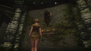 Skyrim スカイリム でmodを導入して遊んでいるのですが自分のキャラ Yahoo 知恵袋