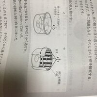 縦縞模様を描いた紙を丸形水槽のまわりで回して メダカが泳ぐ様子を Yahoo 知恵袋