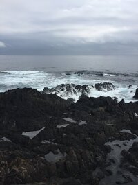 トビウオの釣り方を教えてください 先日和歌山のある漁港でエ Yahoo 知恵袋