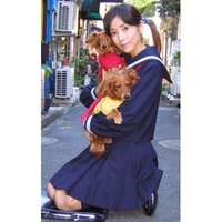 川島なお美さんの犬たちが心配です 鎧塚さんが犬好きだとは思えません 飼い Yahoo 知恵袋