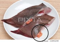 魚の事で 質問です 子持ちの水カレイには オレンジ色の子と 白っぽい子が Yahoo 知恵袋