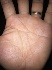 ディズニーシーのあの巨大な山 名前忘れました って 勿論人口の山だと思い Yahoo 知恵袋