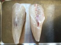 釣って来たショウサイフグは冷蔵庫で何日ぐらい入れといても刺身で食べれますか Yahoo 知恵袋