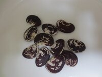 この豆は何という豆でしょうか 小豆色に白いまだら模様の豆です 紫 Yahoo 知恵袋