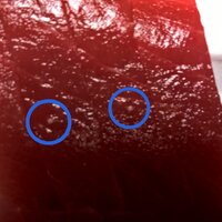 マグロのたまご よく 刺身用マグロの塊の中に白くて丸い物体 Yahoo 知恵袋