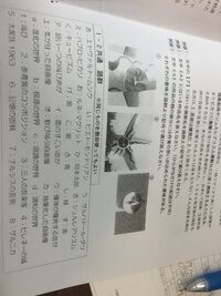 美術の問題で岡本太郎の太陽の塔について質問です 問題3の から まで教えて Yahoo 知恵袋