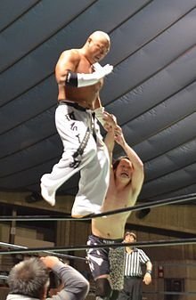 プロレス技で個性的 そのレスラー独特 な技で好きなの教えてくださ Yahoo 知恵袋