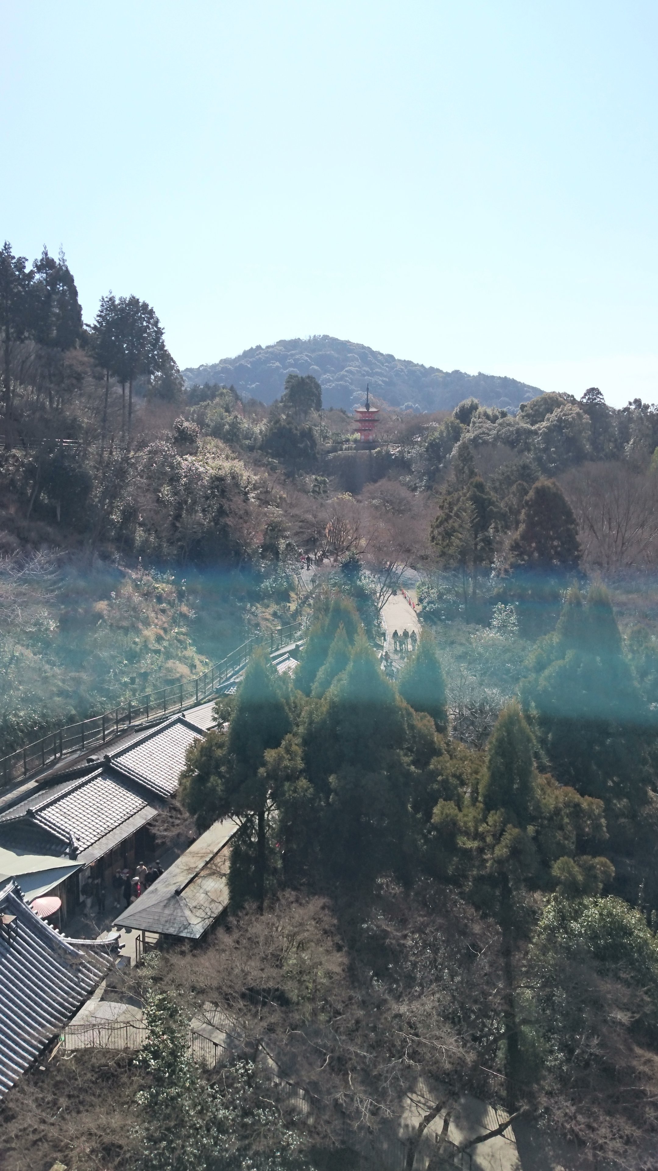 清水寺の舞台からスマホで撮った写真です。青緑色の線が写ってしまい 