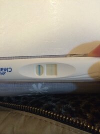 妊娠 検査 薬 フライング クリア ブルー