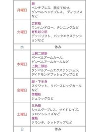 この筋トレメニューの水か日に何かメニューを追加するとしたら何がいいですかね Yahoo 知恵袋