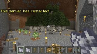 マイクラpeについての質問です 地下に植林場を作ったのです Yahoo 知恵袋