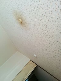 賃貸の部屋の天井のはりかえについて質問です 現在 築年ほどの賃貸に住んでいま 教えて 住まいの先生 Yahoo 不動産