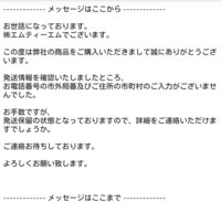Amazonのエコスタというところでウォークマンを購入したらこのようなメールがきました。
これって詐欺ですか？どうしたらよいのかわかりません。 