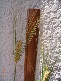 この二条大麦の品種名を知りたいです 次のはるな二条とは違いますか Yahoo 知恵袋