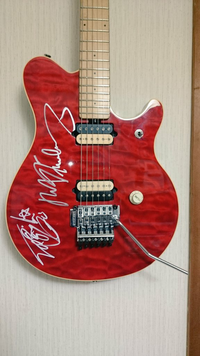 ナマコとかって内臓を出して囮にして逃げるみたいに聞いたことがあ Yahoo 知恵袋