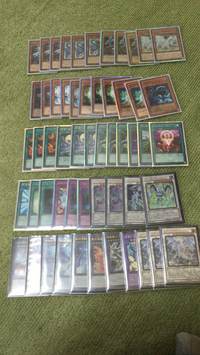 遊戯王青眼征竜スキドレ風味の回し方について デッキ内容は長いので割愛させ Yahoo 知恵袋