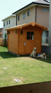 鳴門教育大学正門前にテラス席のみ犬連れokのカフェ ドッグラン有り がある Yahoo 知恵袋