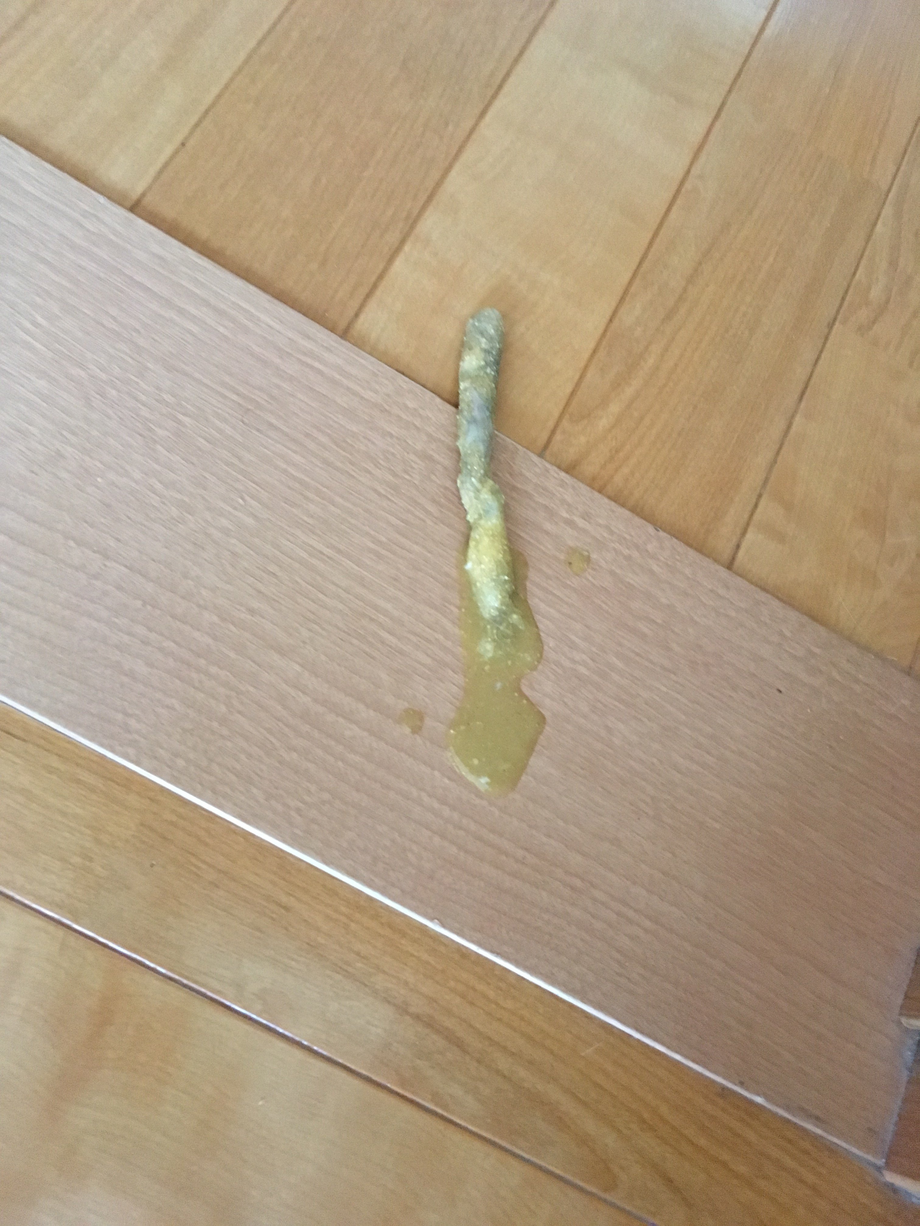 愛猫が黄緑色の嘔吐を繰り返しています。どんな病気が考えられますか 
