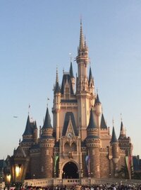 日本のシンデレラ城の内部は公開されている所以外も入ることはできるのですか 宿泊 Yahoo 知恵袋