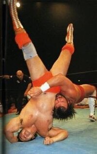 プロレス技で あまりに危険すぎて使用禁止になった技は 日本ではあるのでしょう Yahoo 知恵袋