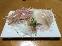 釣った魚の熟成について質問です 最近自分は魚の熟成にハマっています 釣り場 Yahoo 知恵袋