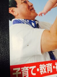 沖縄に住んでいるのですが 小さい虫が大量発生して困っています 大 Yahoo 知恵袋