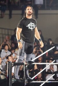 Wweの現役レスラーで入場曲がかっこいいのは誰ですか 自分は セス ロリン Yahoo 知恵袋