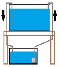 サイフォンの原理で水槽の水を下の濾過器に入れる仕組みだと停電などになると水 Yahoo 知恵袋