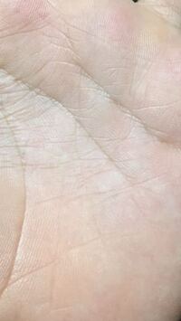 これは覇王線ですか まだ 線が薄いです 生命線の下方から線が出てまし Yahoo 知恵袋