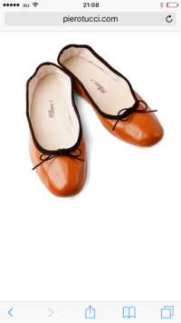 バレエシューズの違いについてですが レペット アニエル ポルセリ マスカロ等あ Yahoo 知恵袋