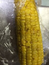 トウモロコシが害虫の被害にあっています こんな感じですが フンは確認できま Yahoo 知恵袋