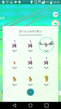 ポケモンgoの影 この大きい鳥の影ってなんですか Yahoo 知恵袋